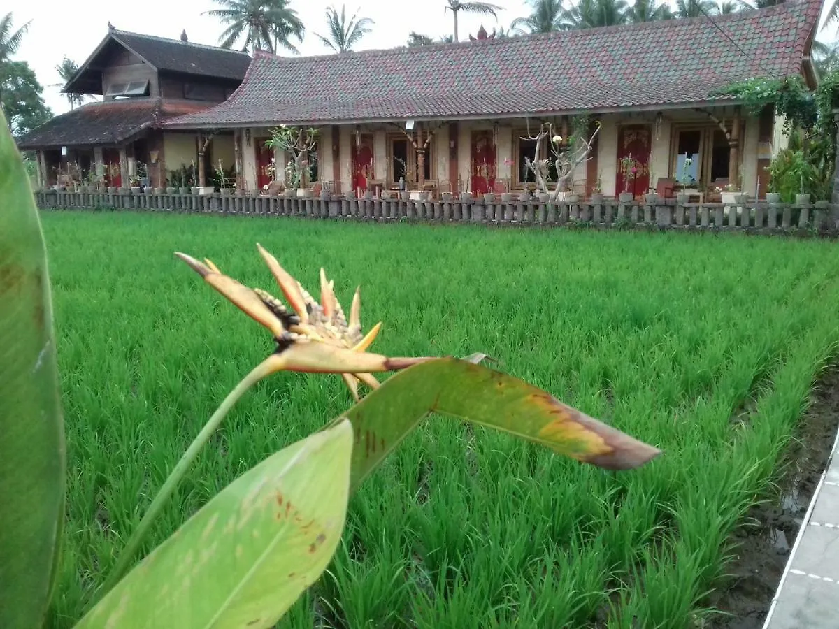 Hotel Rice Padi Artha à Ubud